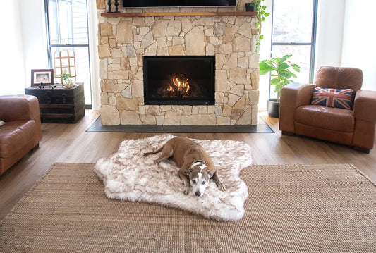 Designer Dog Beds for Humans and Dogs: Blending Comfort and Style