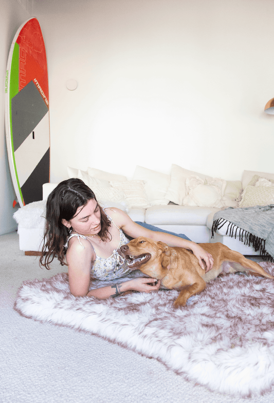 Why Large Dogs Need Luxurious Washable Beds