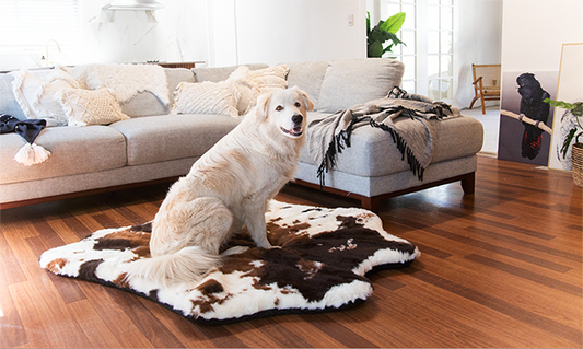 Washable Luxury Dog Beds for Big Dogs & Humans