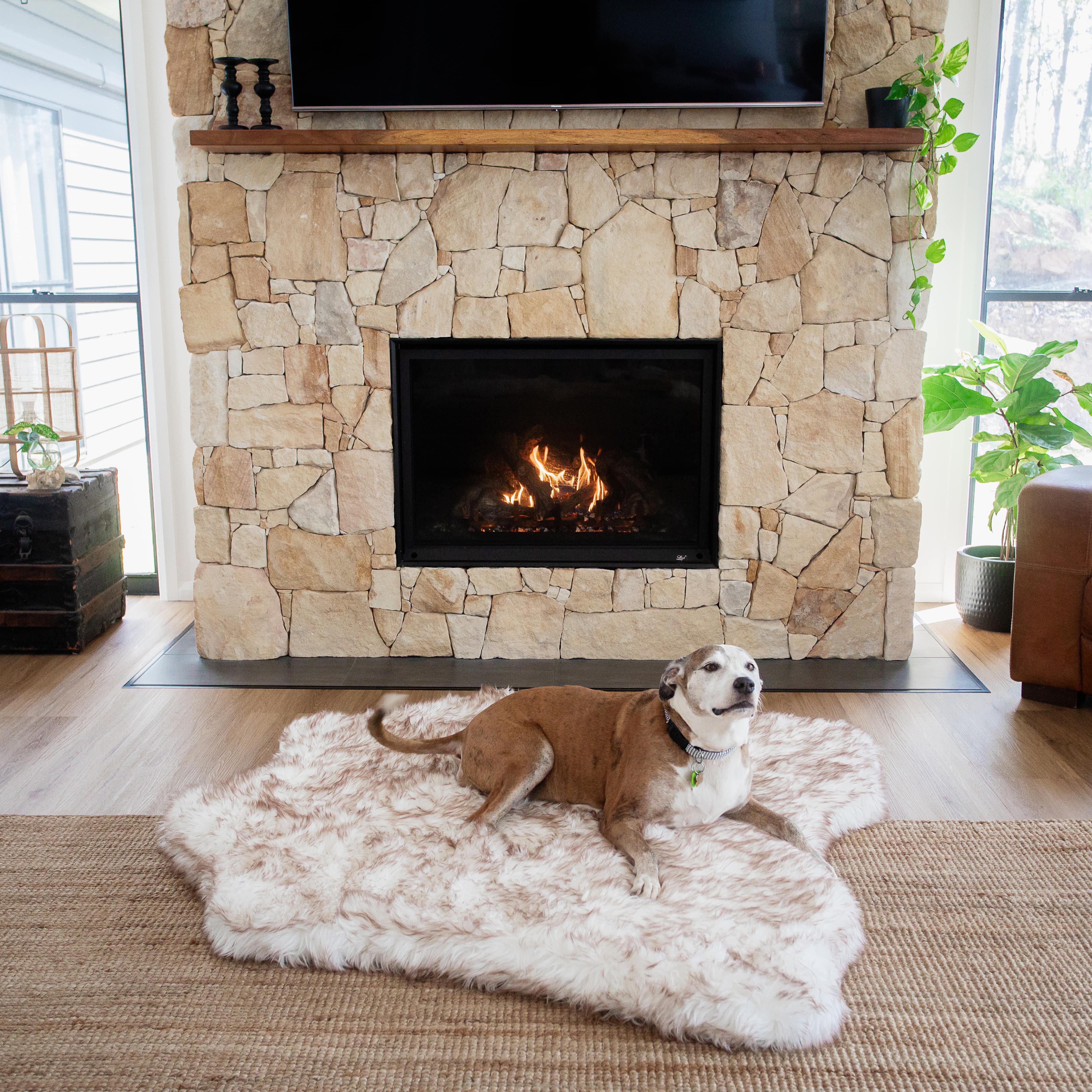 The Lushyl - Australia’s Luxe Dog Daybed
