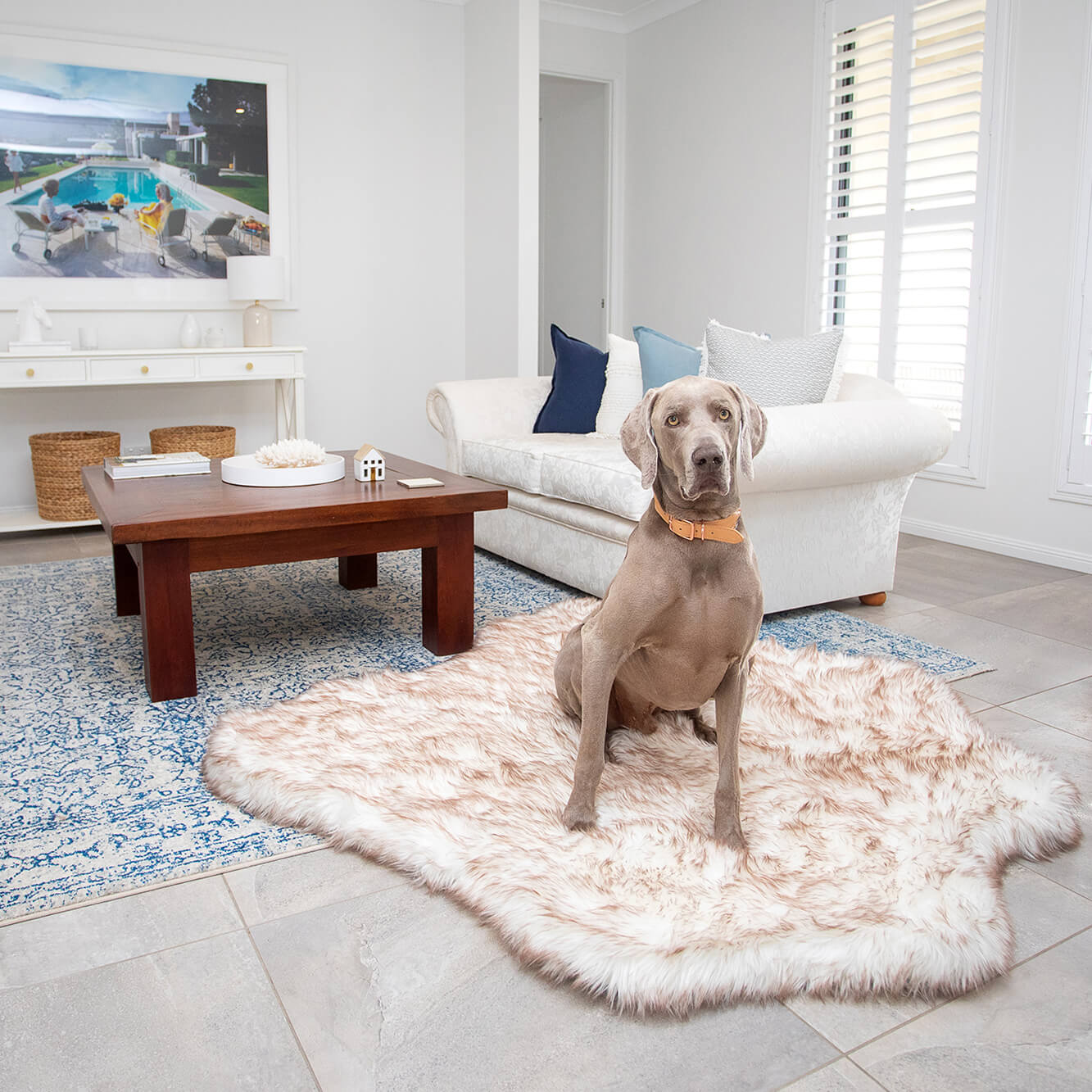 The Lushyl - Australia’s Luxe Dog Daybed