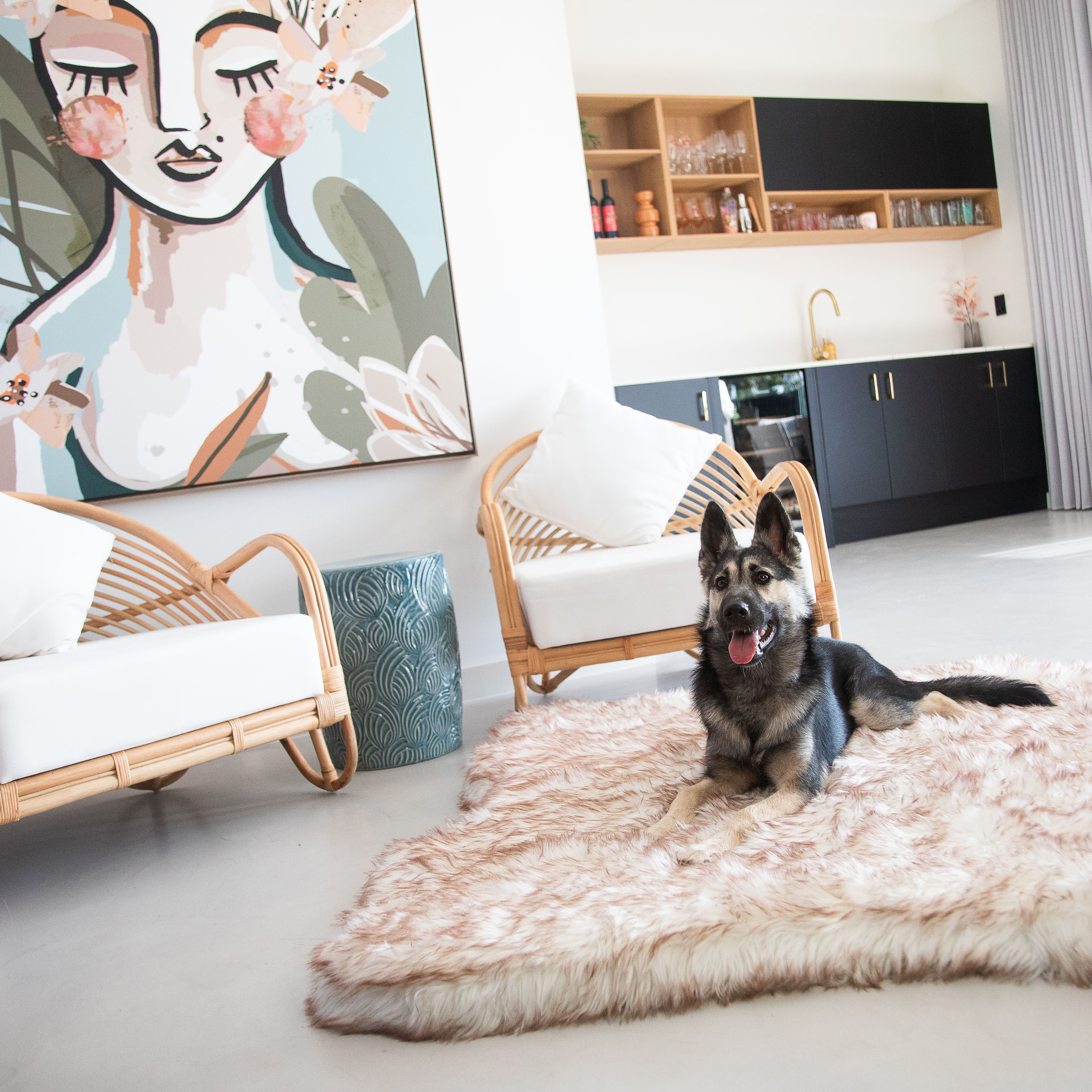 The Lushyl - Australia’s Luxe Dog Daybed